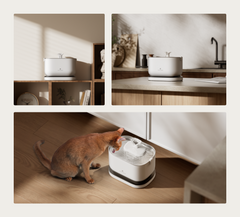 Dockstream Cordless Fountain