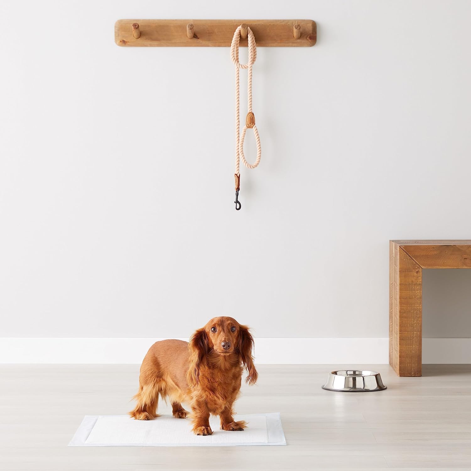 Basics Dog & Puppy Pee Pads – 100 Pack, 22x22", Leak-Proof & Quick-Dry